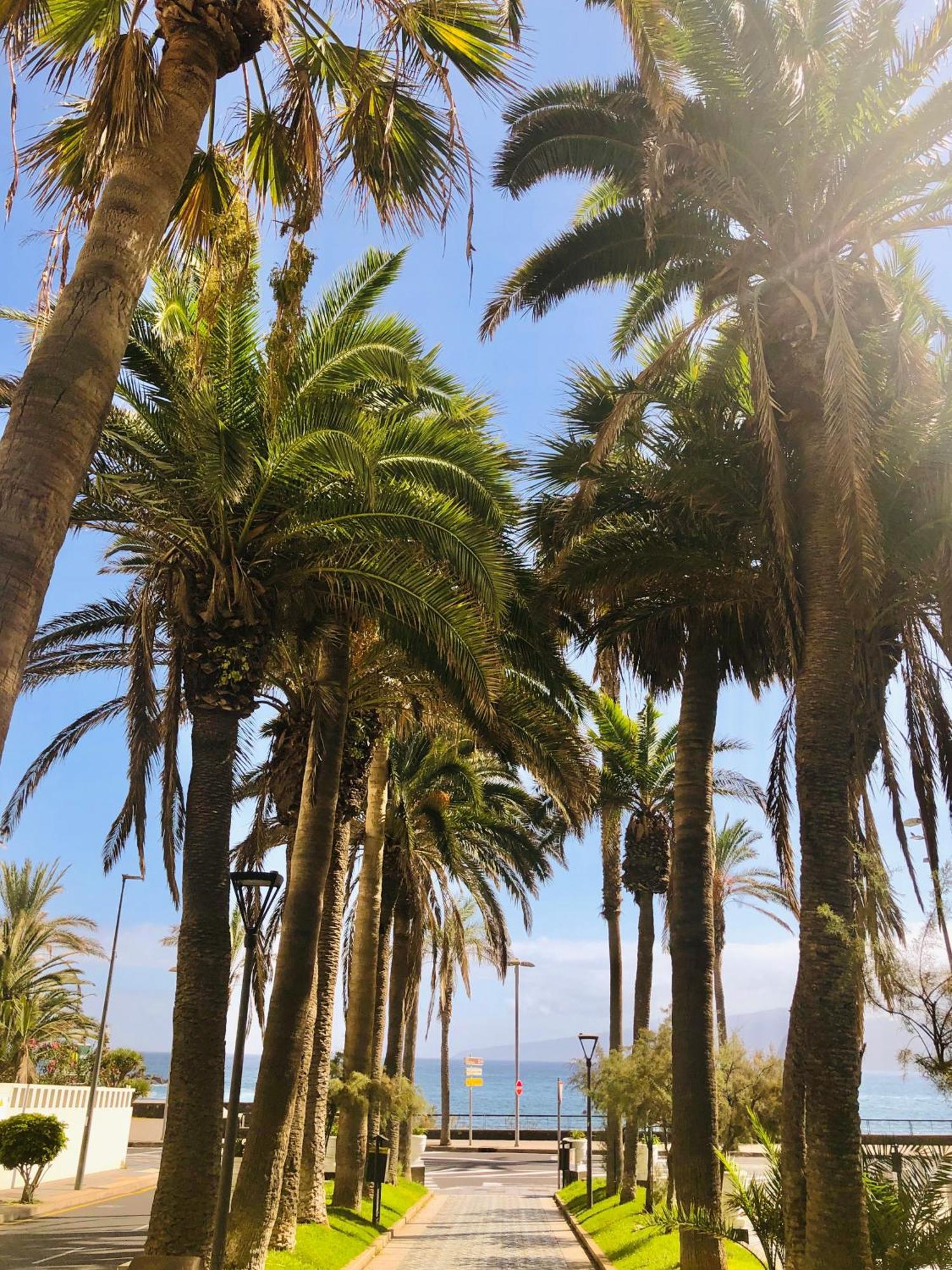 Estudio Tinerfe Puerto de la Cruz  Zewnętrze zdjęcie